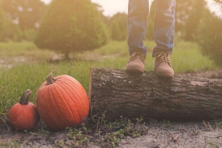 a person sitting on top of a dirt field