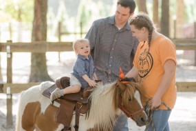 a person riding a horse